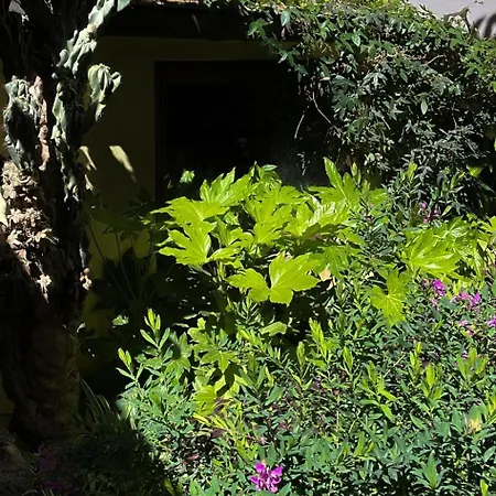 Loquat House Nel Giardino Segreto In Zona Vaticano Rome