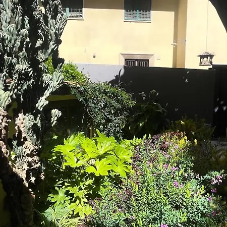 Apartment Loquat House Nel Giardino Segreto In Zona Vaticano Rome